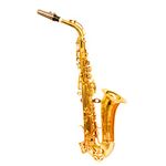 YORBAX® Alto Saxophone with Gold Lacquer, Hard Case, Belt and Extra Reed (Golden)