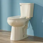 HOMLYLINK Tall Toilet 19 Inch for S