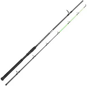 KastKing Kong Fishing Rod, Casting Rod 2 pc 8 VH