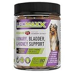 Uromaxx Urinary Tract Infection Treatment for Dogs, Bladder & Kidney Support Soft Chews, All Ages & Breeds, Non GMO, Made in The USA, 90 Count, 1 Pack