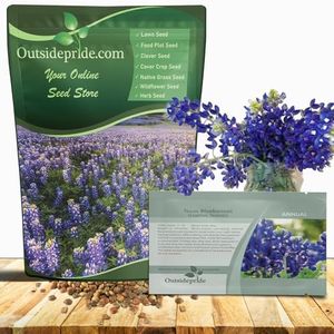 Outsidepride Texas Bluebonnet Seeds - 1/4 lb. Annual Lupinus Texensis, Heirloom Quality, Drought-Tolerant Wildflower Seeds w/Blue Blooms for Vibrant Spring Displays, Landscape, & Attracts Pollinators
