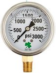 Fashlady 3000 PSI, Single Pack: Zenport LPG3000 Zen-Tek Glycerin Liquid Filled Pressure Gauge, 3000 PSI