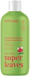 ATTITUDE Shampoo and Body Wash for 