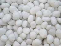 Bum Bum Bhole Unpolished Marble Pebbles for Garden D?cor (18 Kg, 20-30 mm, White)