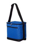 Liberty Bags Joseph 12-Pack Cooler (Royal) (ONE)