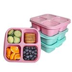 Tupperware Divided Lunch Container