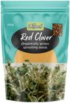 Untamed Health Organically Grown Sprouting Seeds Red Clover, 100g