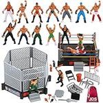 JDS Toy Store 32-Piece Mini Wrestli
