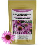 Purple Coneflower Seeds (Approx. 1100 Seeds 4 gram) Native Wildflower Easy to Grow and Drought-Tolerant - Perfect for Canadian Gardens and Landscaping