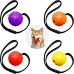 SKYLETY 4 Pieces Dog Ball on a Rope Training Ball Dog Toy Interactive Dog Ball on a String Reward and Exercise Toy for Small Medium Large Dog Fetching, Catching, Throwing and Tugging (5 x 30 cm)