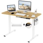 FLEXISPOT Electric Height Adjustable Standing Desk 120 * 60cm Sit Stand Desk Adjustable Desk Stand Up Desk with Cable Tray Backpack Hook Memory Smart Pannel EF1 SERIES(White Frame+Maple Desktop)