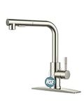 FORIOUS Kitchen Faucets with Pull D