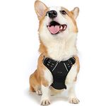 rabbitgoo Dog Harness Medium No Pull Pet Harness with 2 Leash Clips, Adjustable Soft Padded Pet Vest Harness, Reflective No-Choke with Easy Control Handle for Training or Walking, Black, M