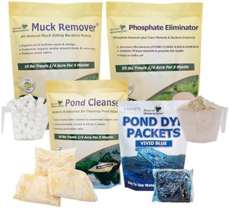 Clean Pond
