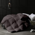 MammaYo Razzai 500 GSM Winter Comforter Premium Collection Quilted Comforter (92" x 106" Inches/233cm x 269cm) - King Size Comforter|Dark Grey| lightweight| Microfibre
