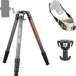 Carbon Fiber Tripod-INNOREL ST344C Professional Heavy Duty Camera Stand with 75mm Bowl Adapter Tube Leg 34.4mm, Max Load 77.2 lbs/35kg,Max Height 63 in/160cm for DSLR Travel Shooting No Mid-Column