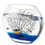 hygger Mini Glass Oblate Fish Bowl 