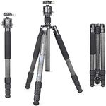 Carbon Fiber Tripod-INNOREL RT85C S