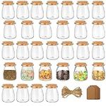 BELLE VOUS 30 Pack 210ml/7oz Glass Favour Jar Set with Cork Lids, Label Tags and Twine - Mini Square Mason Airtight Storage Bottles and Labels for Wedding Favours, Party, Kitchen Spices and Jam