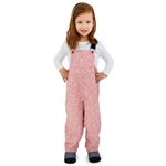 JAN & JUL Waterproof Fleece Lined Snow Bib Pants, Rain Overalls for Toddler Girls (Prairie Flowers, Size 1T)