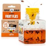 Super Ninja Fruit Fly Trap - 1 pack