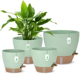 12" 10" 9" 8" Self Watering Pots wi