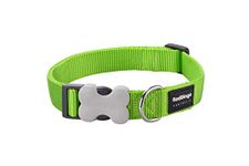 Red Dingo Bucklebone Dog Collar Plain, Lime Green, Medium 20mm