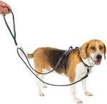 LufeLux No Pull Dog Harness with Two Points Control Leash Set, Neck Buckle, Aluminum D-Rings, 6 Points Adjustment, Easy Walking and Training, Leash with 2 Clips (Harness&Leash Set, XS)