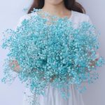 beerfingo Dried-Flowers-Babys-Breath-Bouquet-17.2 inch 2500+ Flowers, Natural Gypsophila Branches for Home Decor, Wedding, Table Decor, DIY Wreath Floral, Dry Flowers Bulk for Vase (Light Blue)