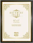BAZIC Products Document Frame w/Gold Border 8.5" X 11", Plastic Cover, Certificate Photo Diploma Frames, Display Certificates at Office Home School, 48-Pack