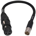 CESS-196-6i Low Noise 3-Pin Mini XLR to Regular XLR Microphone Headphone Adapter Cable (Mini XLR Male to XLR Female, 6 Inches)