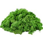 200g Artificial Moss Fake Faux Natural Fresh Green Moss Decorative 5 Colors Preserved Eternal Moss Decorative for Home Garden Patio Miniature Fairy Garden Accessories Plant House Decor (dark green)