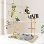 VolksRose Parrot Playground Bird Play Stand, Bird Activity Stand Wood Perch Gym with Ladder Tray and Feeder Cups, Parakeet Cockatiel Birdcage Cage Nest Accessories Exercise Platform Toy