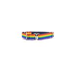 PetWale Rainbow Pride Fabric Dog Martingale Collar | Comfortable & Secure Fit | No Neck Strains | Durable | Recommended by Trainers | Suited for Small Breeds Like Lahsa, Terrier & More | Size S