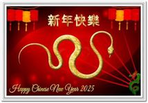 Chinese New Year Card 2025 - Year o