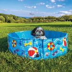 BigMouth Inc Foldable Dog Pool Collapsible Hard Plastic Pet Swimming Pool Portable Dog Bath Tub Kiddie Pool for Small Medium Dogs Cats Kids 47" Patterned Color