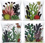 EZVING Set of 4 Summer Style Cactus