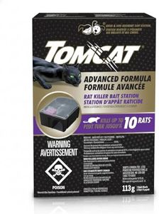 Tomcat Rat