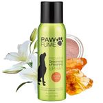 Pawfume Premium Dog Grooming Spray – Dog Spray Deodorizer For Dogs – Dog Cologne Premium Scented Perfume Body Spray for Dogs – Dog Perfume Spray Last Long After Bath Dog Deodorizing Spray (Show Dog)