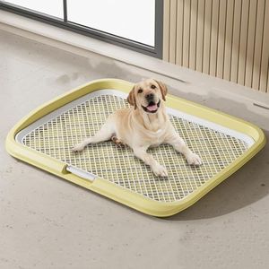 Dog Potty 
