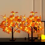 [2 Pack] Fall Lighted Maple Tree Decor, 24-inch 48 LED Pumpkin Lights, Halloween Thanksgiving Decorations Table Tree, Battery Operated Desktop Artificial Tree for Autumn Harvest Wedding Home Indoor