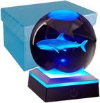 3D Shark Crystal Ball Night Light, 