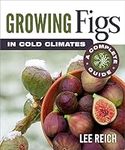 Growing Figs in Cold Climates: A Co