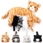 Nurturing Cat Stuffed Animal with Plush Kittens, Cat Baby Stuffed Animals for Girls and Boys Plushy Kitty Mommy Cat with 4 Baby Cats for Birthday Party Favors Gifts(Cute Style)