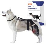 Pawfun Dog Knee Brace for Torn ACL Hind Leg, Dog Leg Brace for Large and Small Dogs with Hip Dysplasia, CCL, Ligament Injuries or Osteoarthritis, Both Back and Front Legs,X-Large