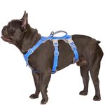 Huntboo Escape Proof Harness, No Slip Dog Harness Escape Proof, Fully Reflective Harness with Handle,Breathable, Durable,Adjustable Vest for Medium Dogs Walking,Training,and Running Gear (Sea Blue,M)
