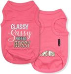 Parisian Pet Dog T-Shirt with Embroidered 'Classy, Sassy and Bit Bossy' - 100% Cotton, Pink Dog Clothes - Cute Pet Vest - Machine Washable Dog Shirt for Large Dogs, XL