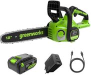 Greenworks GD24CS30K4 Cordless Chai