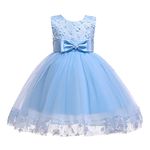 Weileenice Flower Little Girl Dresses Light Blue Lace Applique 3-4 Toddler Wedding Bridesmaid Party Pageant Princess Ball Gown Glitter Girls Ceremony Daddy Daughter Dance Prom Puffy Tulle Dress Gala