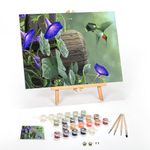 Ledgebay Paint by Number for Adults Framed Canvas: Beginner to Advanced Number Painting Kit - Kits Include Acrylic Paints, (4) Brushes & Tabletop Easel (Hummingbird 12" x 16" Framed)